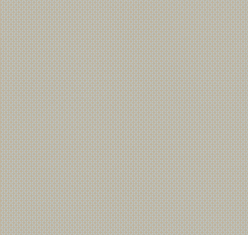 Обои Amsterdam | DM2 006