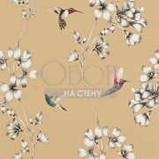 Обои Amazilia | 111063