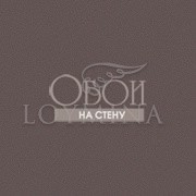 Каталог Pahntom | Ph11 021 1