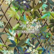 Обои Nouveaux Mondes | pcl661-01