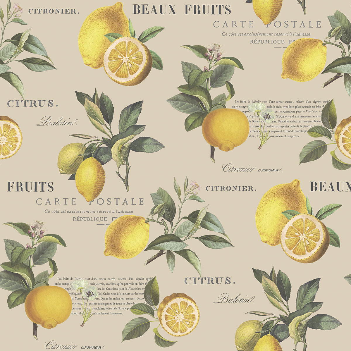 Обои Just Kitchens | G45410