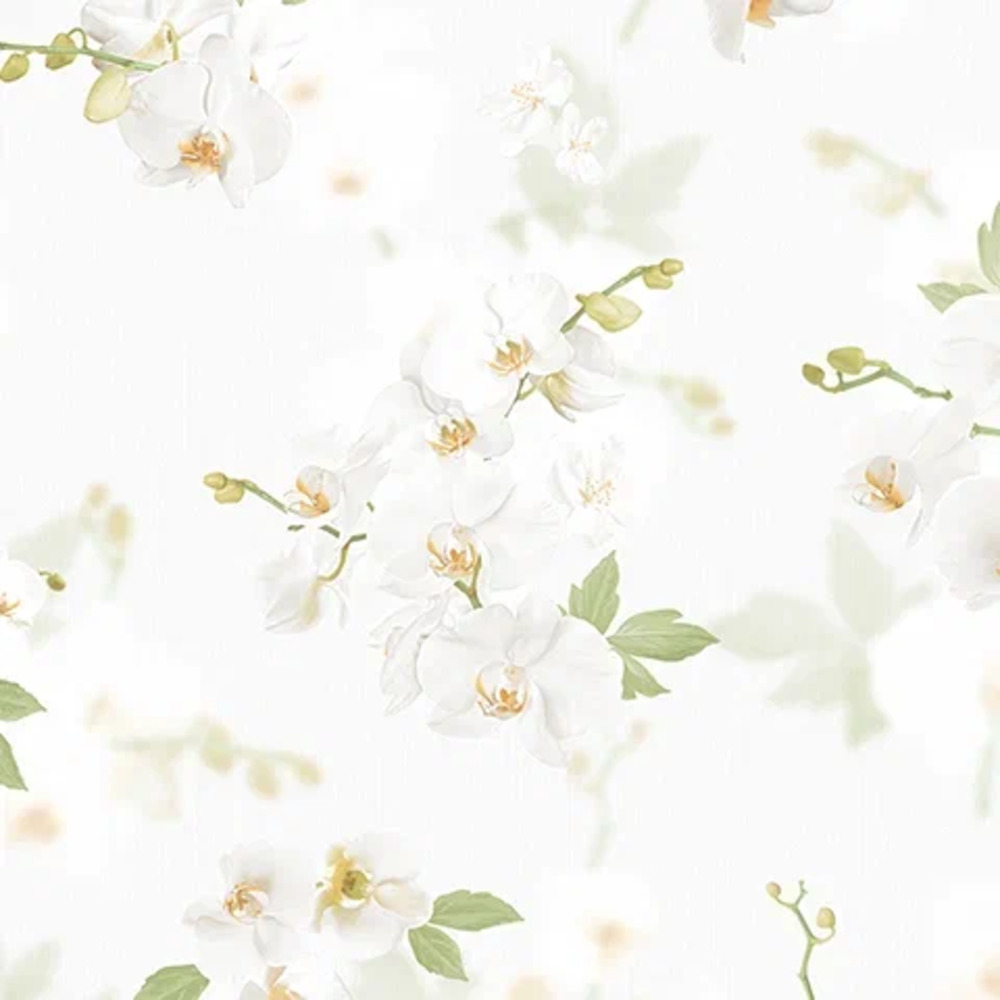 Обои Stromboli | 54342-1