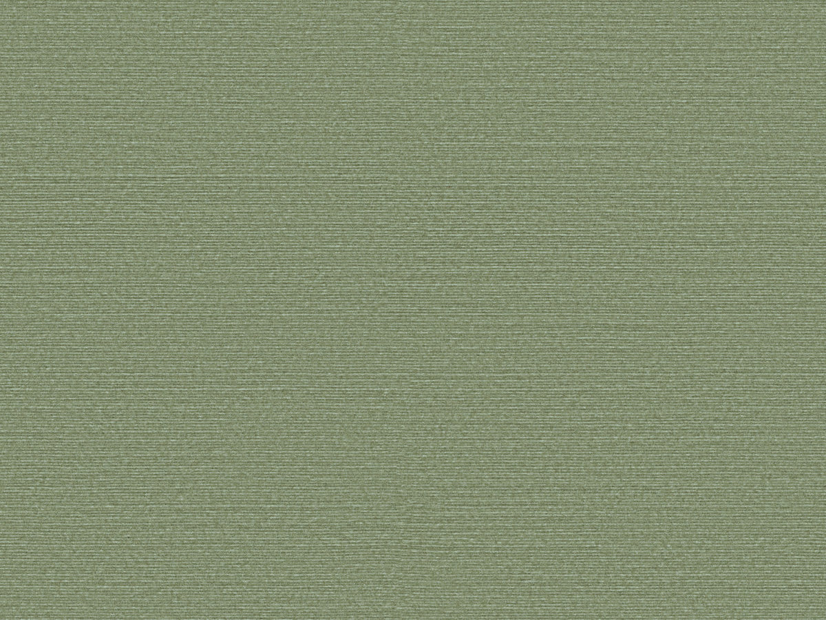 Обои Birds of Paradise | BOP316