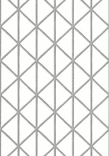 Обои Tropics | T10134