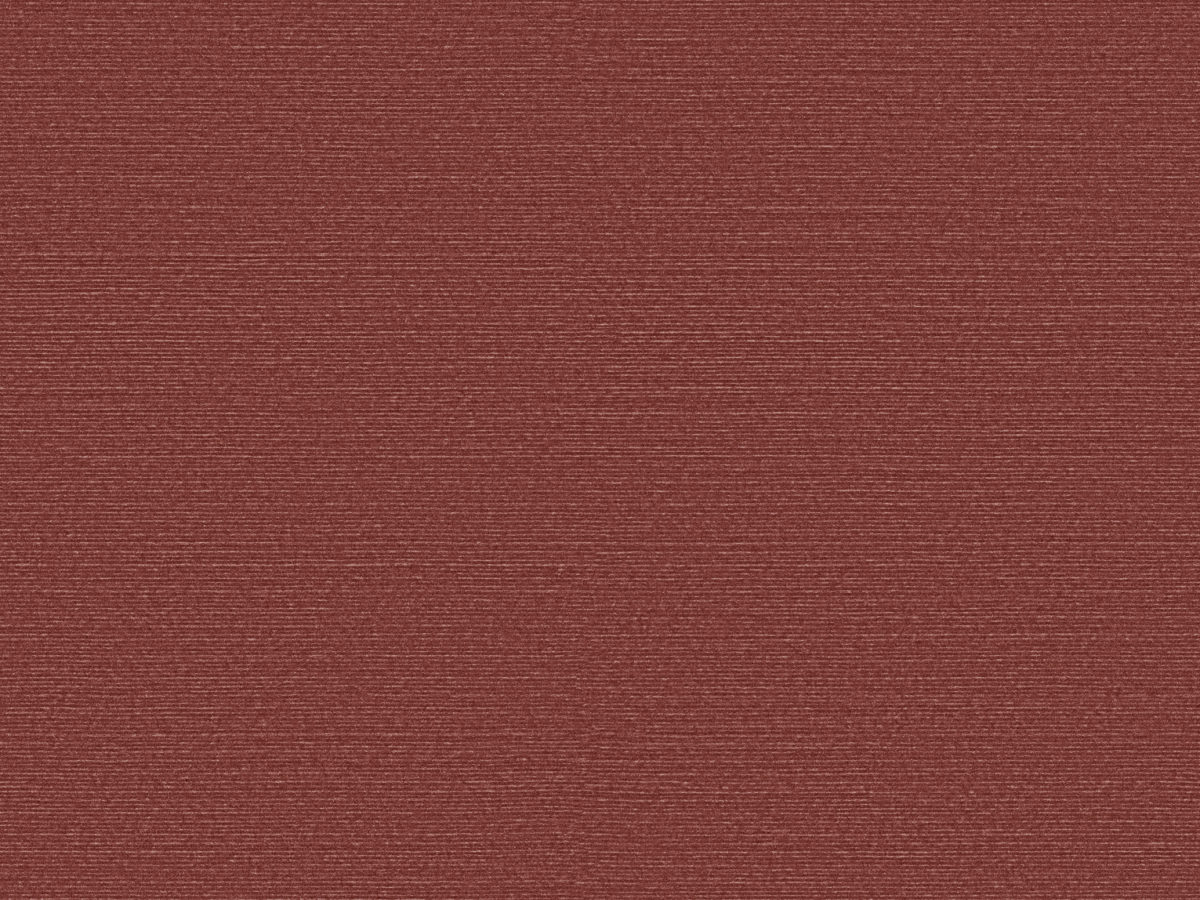 Обои Birds of Paradise | BOP333