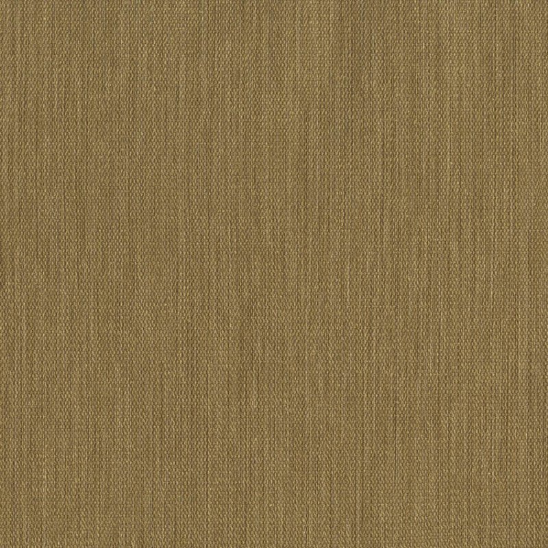 Обои Evolution Best Of | 20773