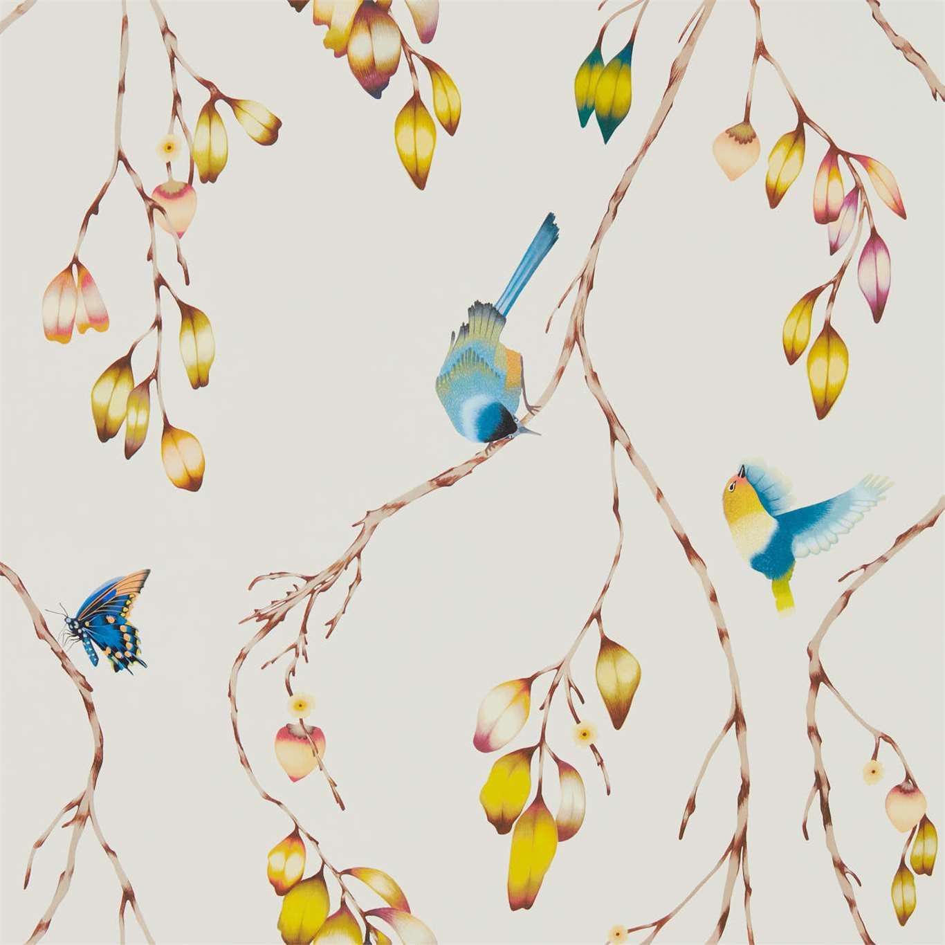 Обои Zapara | 111770