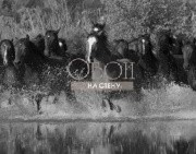 Обои Global Fusion | G45278