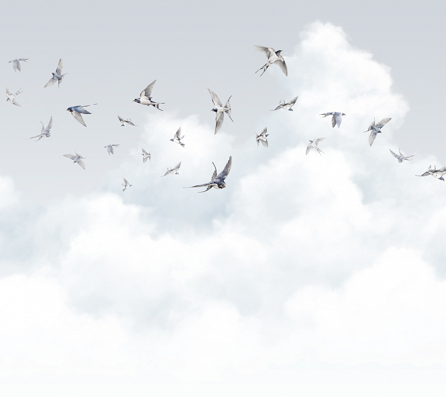 Обои Ambient 3 | AM11 006