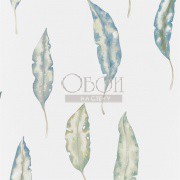 Обои Anthozoa | 111655