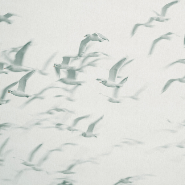 Обои Panorama | V101-2