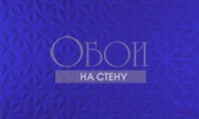 Обои Intrigue | 10553