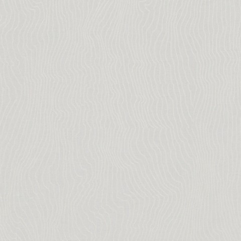 Обои Project | 31834