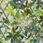 Обои Nouveaux Mondes | pcl661-06