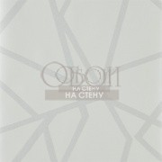 Обои Momentum 4 | 111574