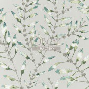 Обои Anthozoa | 111634