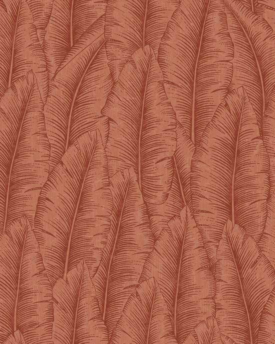 Обои Cumaru | cu3214