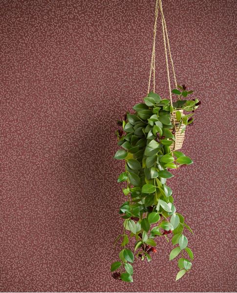 Обои Carmen | 392543