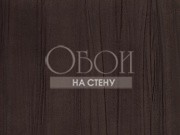 Обои Four Seasons | 706