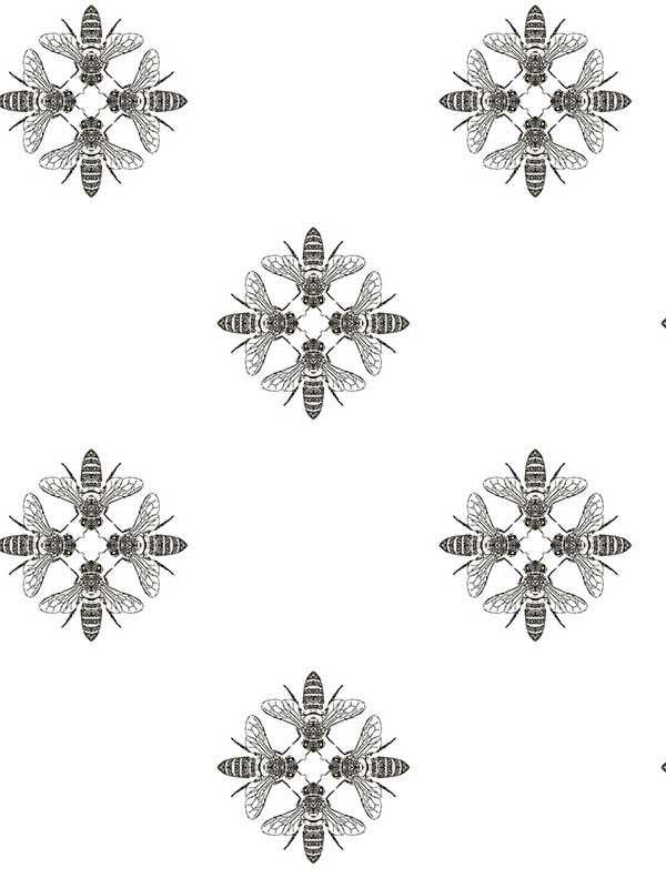 Обои Black & White Resource Library | ON1643