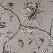 Обои Phaedra | 312621