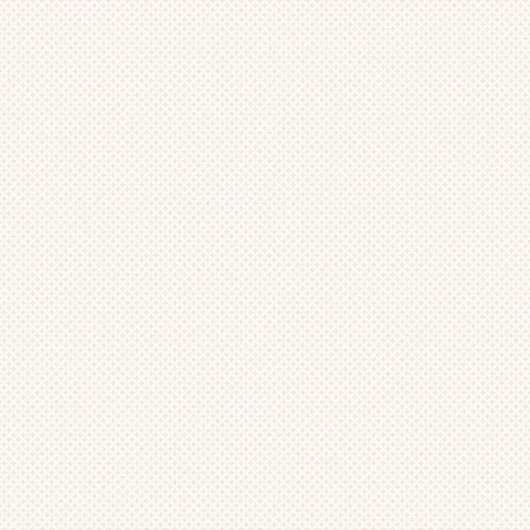 Обои Palazzo Ragione | 7027-3