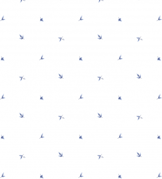 Обои Creative Kitchens | CK36601