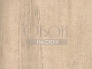 Обои Four Seasons | 752