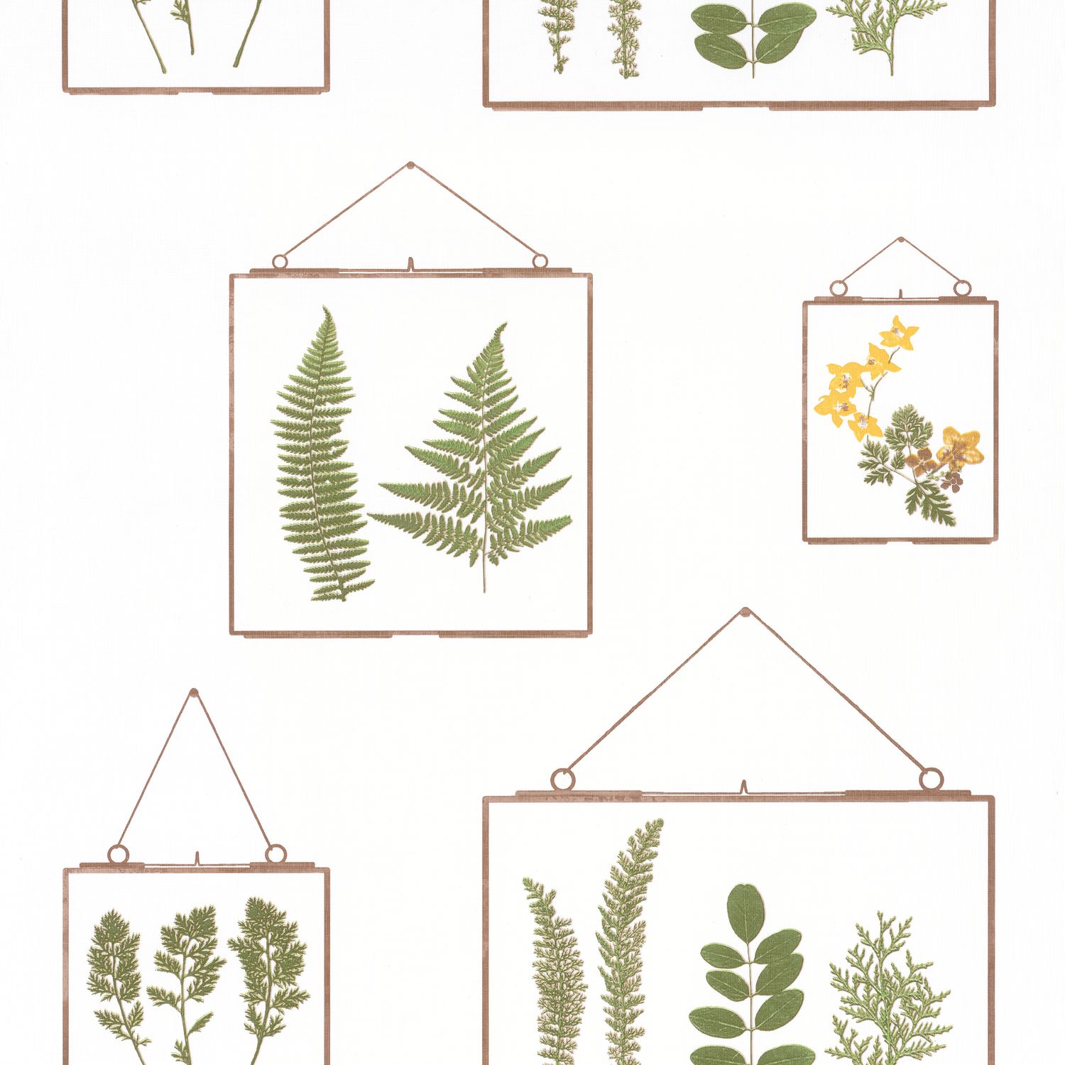 Обои Bistrot d Alice | 100637070