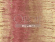 Обои Carl Robinson 2 | cb24401