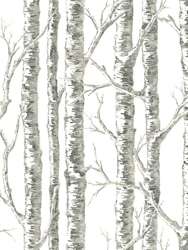 Обои Black & White Resource Library | BW3901 Обои Black & White Resource Library | BW3901