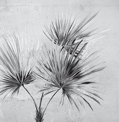 Обои Terra | 391567