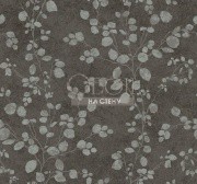 Обои Jupiter | TE10006