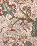 Обои Braquenie | BP204001