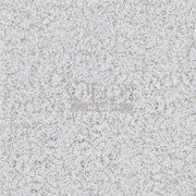 Обои Tulipa Stellata | pdg1031-04