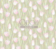 Обои Swan | Sw1 005