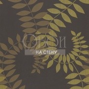 Обои Feature Walls | HFC39915
