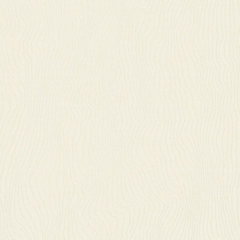 Обои Project | 31832