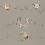 Обои Standing Ovation | 111485