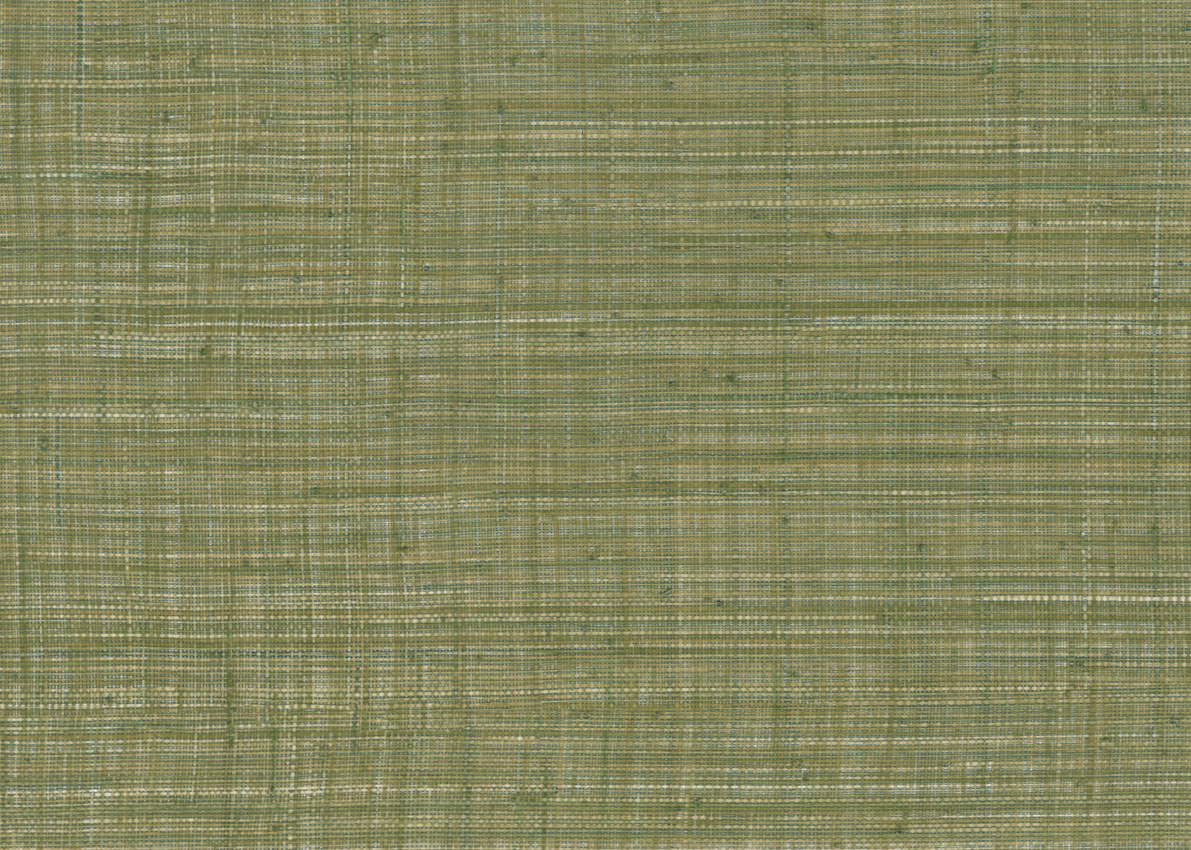 Обои JV800 Tierra | JV6655