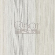 Обои Momentum 4 | 111567