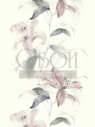 Обои Jasmine | ja31607