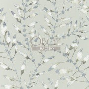 Обои Anthozoa | 111632