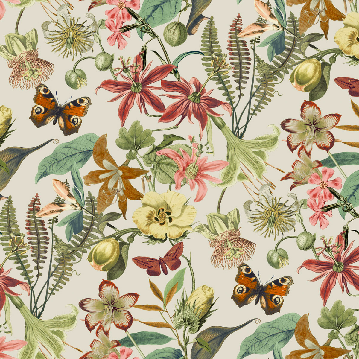 Обои Blooms 2 Resource Library | BL1724