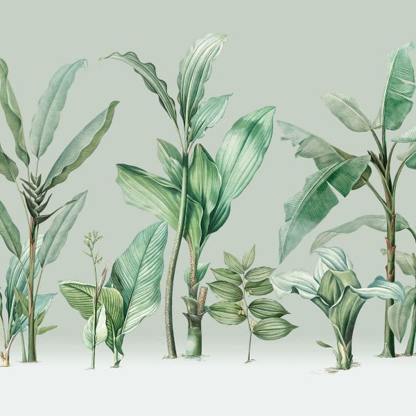 Обои Panorama | V111-3