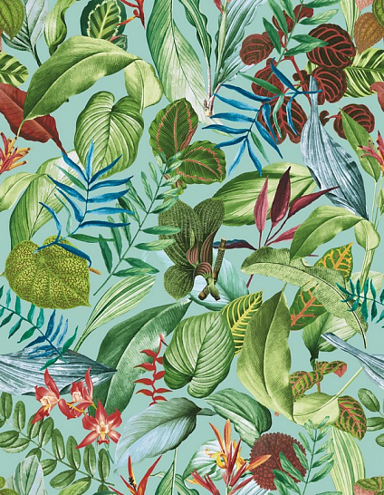 Обои Tropical | 26741