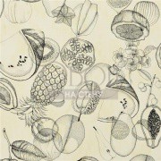 Обои Nouveaux Mondes | pcl663-04