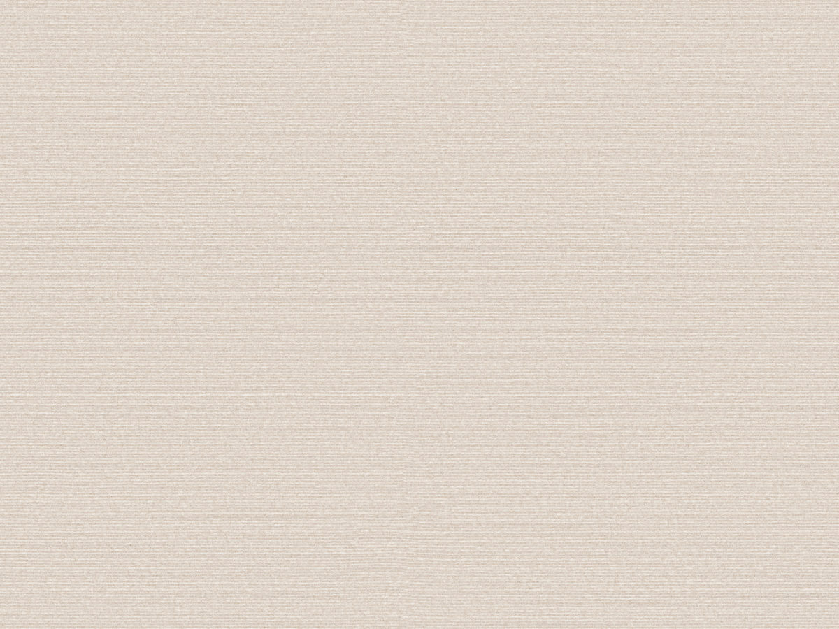 Обои Birds of Paradise | BOP326