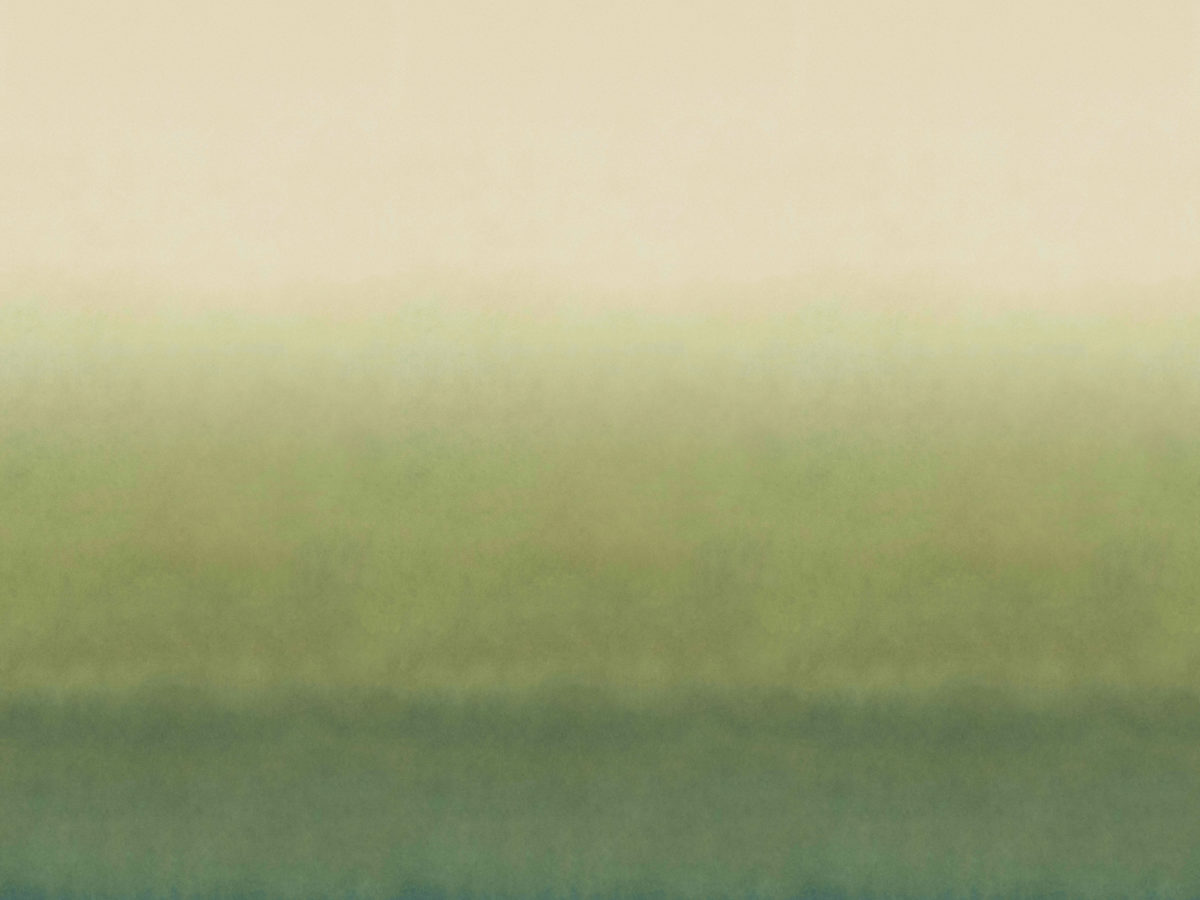 Обои Joy | JOY81