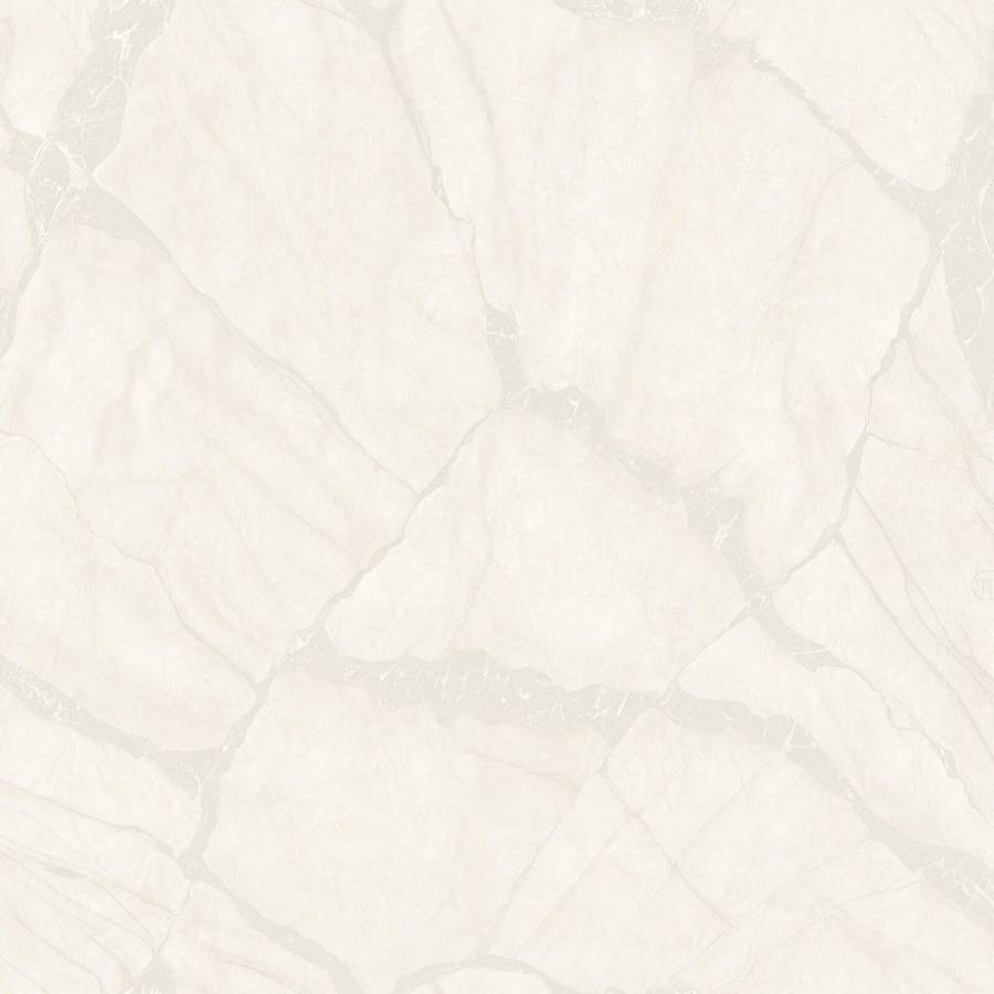 Обои Philipp Plein 2 | Z81042